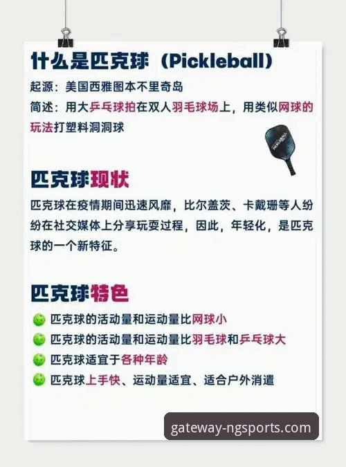 新手必看：NG体育平台靠谱性实用指南与登录入口必备知识